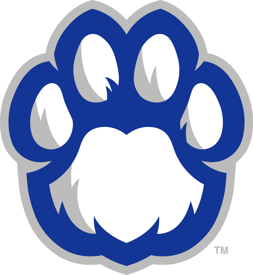 Eastern Illinois Panthers 2015-Pres Alternate Logo diy iron on heat transfer